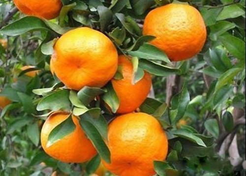 u=2733668359,4009988794&fm=27&gp=0 u=2733668359,4009988794&fm=27&gp=0