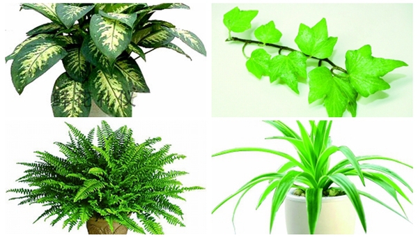 MAIN201711020951097362797895231 MAIN201711020951097362797895231