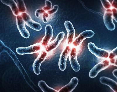 正常细胞变成癌细胞需要多少突变?