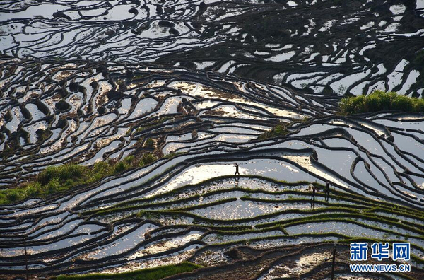 14830365_800088 14830365_800088