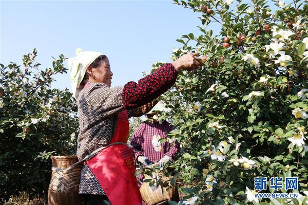 1121894788_15095898466861n 1121894788_15095898466861n