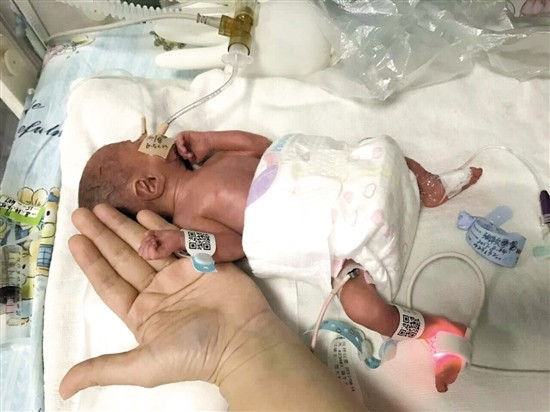 17515943866402797556 17515943866402797556