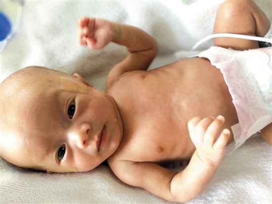 17467698249418315649 17467698249418315649