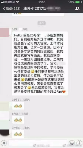 小学家委会竞选家长群里发简历 网友:像在选CEO