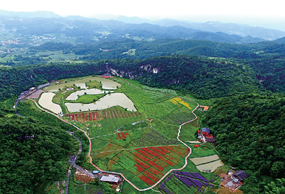 t01162c5d71a557976a t01162c5d71a557976a