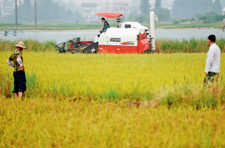 1121910694_15099327244311n 1121910694_15099327244311n