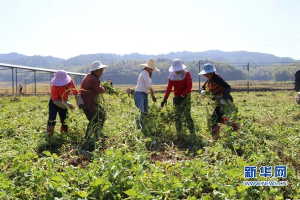 1121897850_15096279181031n 1121897850_15096279181031n