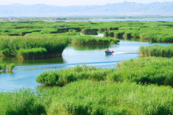 1390453240_LQF99E 1390453240_LQF99E