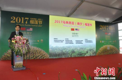 图为广西壮族自治区政府副主席张晓钦致辞 林浩 摄 图为广西壮族自治区政府副主席张晓钦致辞 林浩 摄