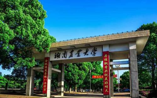 图：湖南农业大学 熊阳俊 摄