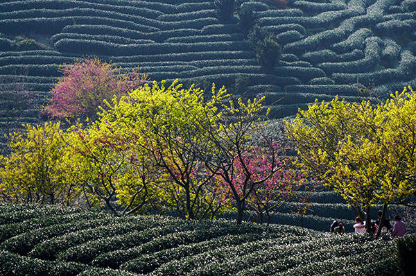 1120454098_14869472451311n 1120454098_14869472451311n