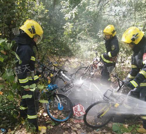 20677145_1200x1000_0 20677145_1200x1000_0