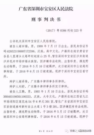 男子出售6只鹦鹉被判5年2 男子出售6只鹦鹉被判5年2