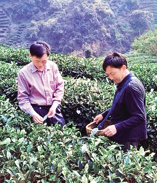 W020171106251670600238 W020171106251670600238