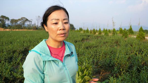 201710061319271fbW 201710061319271fbW