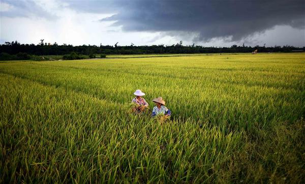 9180258791830539901 9180258791830539901