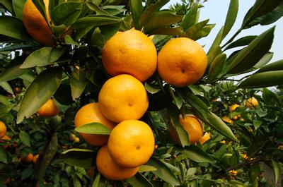 b6a1c1d0f7b740ae041d0ae0d6eb1179 b6a1c1d0f7b740ae041d0ae0d6eb1179