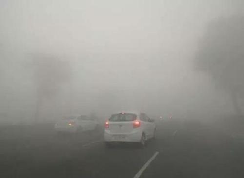 直接傻眼！欧洲两大王室在印度遭了大罪 还没法说