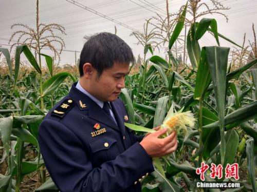 361dbb880b3844b388f971af4dfa73df 361dbb880b3844b388f971af4dfa73df