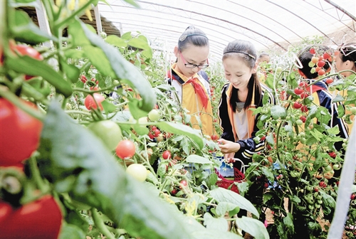 35216_500x500 35216_500x500