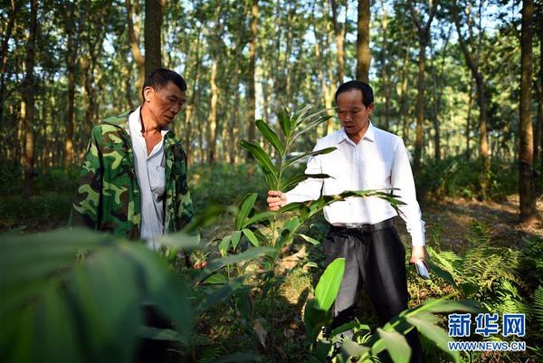 1121925454_15101402687391n 1121925454_15101402687391n