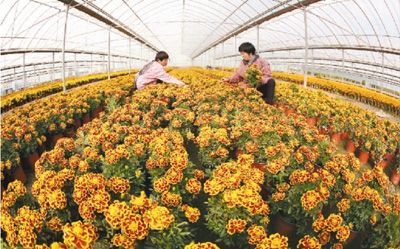 4709554358684711990 4709554358684711990