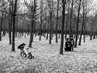 1121944669_15105341929891n 1121944669_15105341929891n