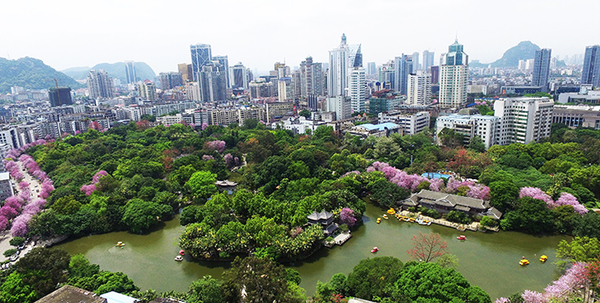 001f1634a482187703f80f 001f1634a482187703f80f