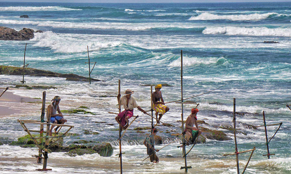 1121944711_15105347770151n 1121944711_15105347770151n