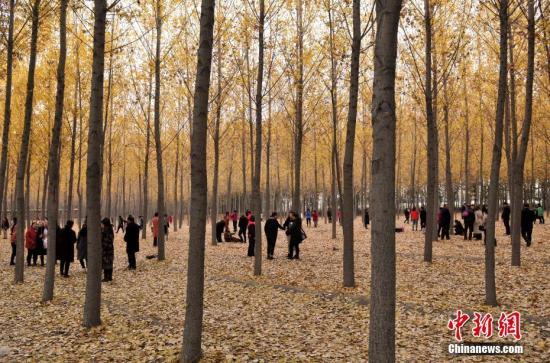 3adccd88f0d34935894914e55bbc0108 3adccd88f0d34935894914e55bbc0108