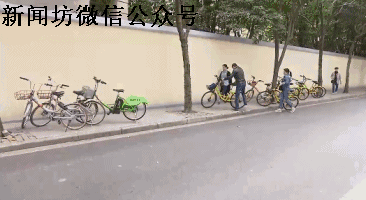 记者调查共享单车乱停放:员工接受采访被当场开除