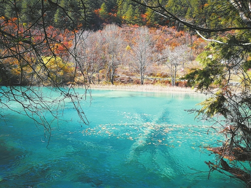 点击进入下一页