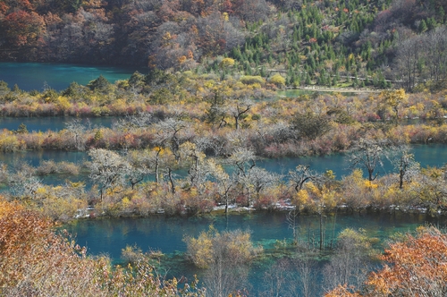 点击进入下一页