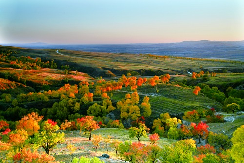 F201012020935195449193524 F201012020935195449193524