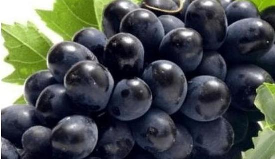 想要常保年轻抗衰老 平时多吃“三黑”