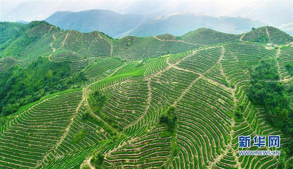 1121770653_15074601153601n 1121770653_15074601153601n