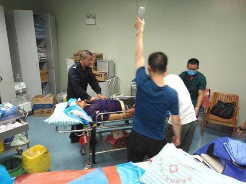 西双版纳野象用象鼻砸断游客肋骨