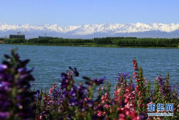 Img378568614 Img378568614