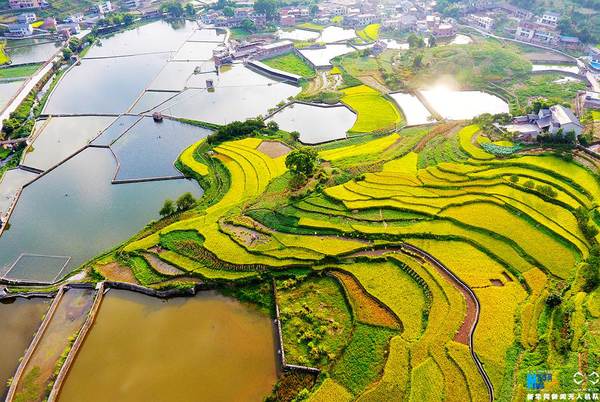 W020170826396123522191 W020170826396123522191