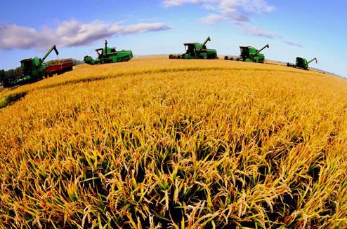 207B08461CC998DF4F9A4658E51427BC 207B08461CC998DF4F9A4658E51427BC