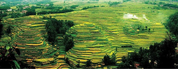 1a7fe1ba15894abba5b40baff2619782 1a7fe1ba15894abba5b40baff2619782