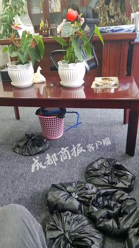 雅安老师离职后收到16660枚硬币的押金 花4小时才数完