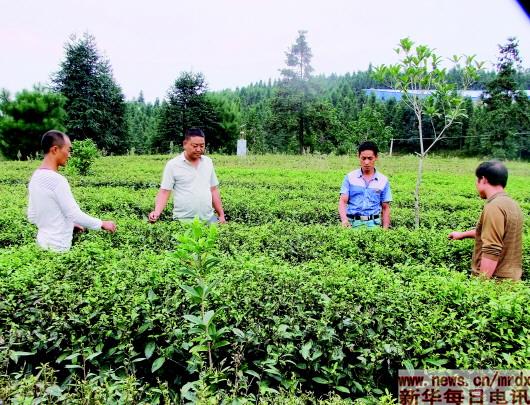 1121980264_15111385867361n 1121980264_15111385867361n