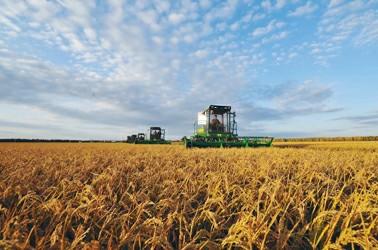 u=375276091,3980535204&fm=27&gp=0 u=375276091,3980535204&fm=27&gp=0