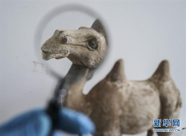 “秦都遗址”被盗案 盗墓者曾参加文物普查