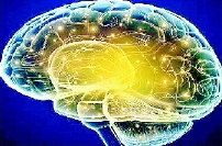 彩C2017-11-22zx501_P_1_1785_2158_2102_2367 彩C2017-11-22zx501_P_1_1785_2158_2102_2367