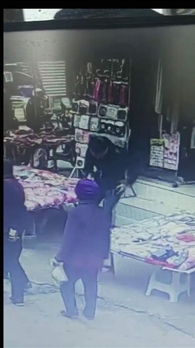 男子碰瓷宠物狗 假装被狗咬伤索医药费被行拘