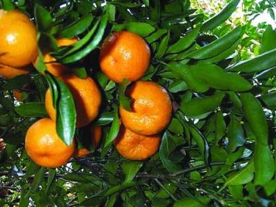 u=3657961952,2642253770&fm=27&gp=0 u=3657961952,2642253770&fm=27&gp=0