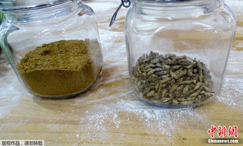 这款面包将干燥蟋蟀磨成粉末并加进面粉中制作，每条约含有70只蟋蟀。