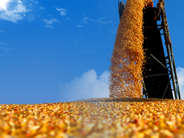 c4a38ece4171f72 c4a38ece4171f72